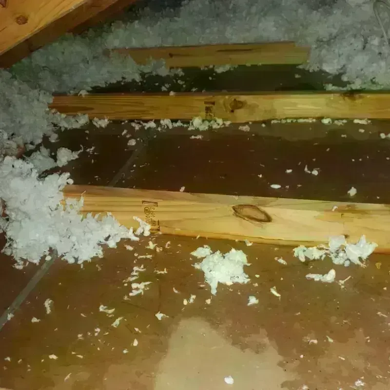 Attic Water Damage in Polk County, NC