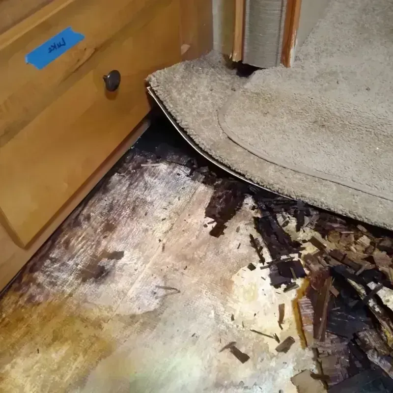 Wood Floor Water Damage in Polk County, NC